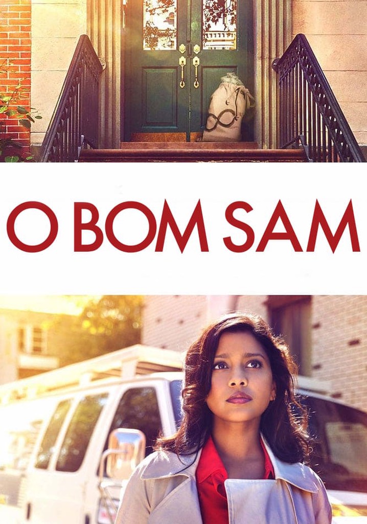 O Bom Samaritano filme - Veja onde assistir